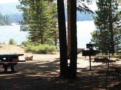 Camper submitted image from Wench Creek Campground - 1