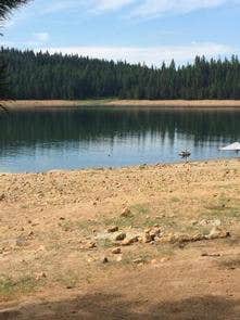 Camper submitted image from Wench Creek Campground - 5