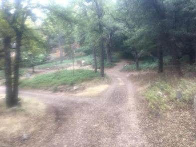 White Oaks Campground The Dyrt