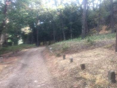 White Oaks Campground The Dyrt