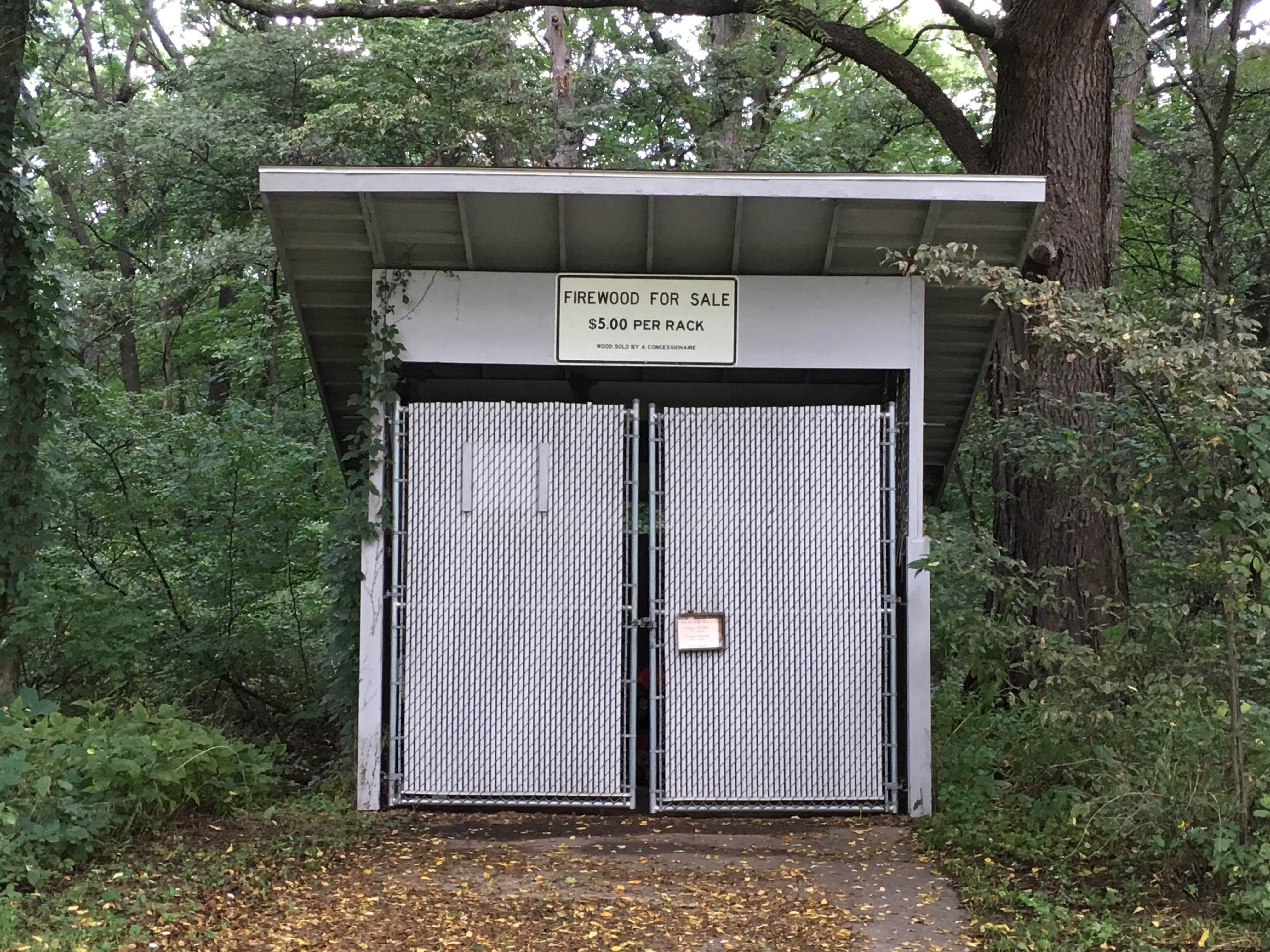 Camper submitted image from Lake Kegonsa State Park Campground - 2