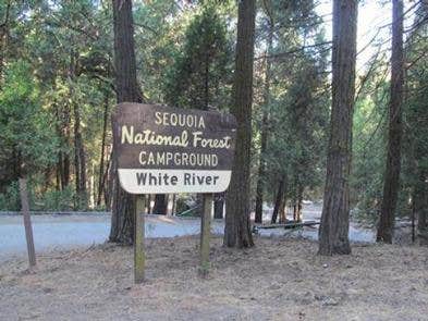 Camper-submitted photo at White River near Alpaugh, CA