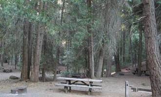 Camping near Frog Meadow Campground: White River, California Hot Springs, California