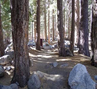 Camper-submitted photo from Sunset Campground — Kings Canyon National Park