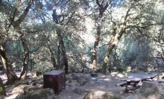 Camping near Shake Camp - State Forest: Wishon Cabin, Camp Nelson, California