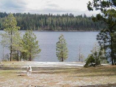 Camper submitted image from Eldorado National Forest Yellowjacket Campground - 3