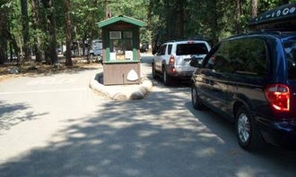 Camping near Bridalveil Creek Campground — Yosemite National Park: North Pines Campground — Yosemite National Park, Yosemite Valley, California
