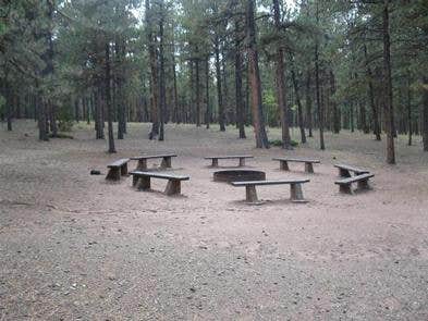 Camper submitted image from Red Rocks Group Campground - 3