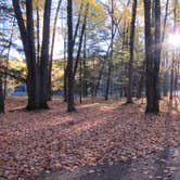 Review photo of Brunet Island State Park Campground by Peggy W., March 29, 2016