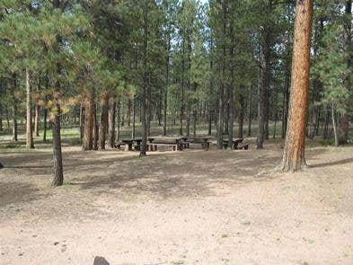 Camper submitted image from Red Rocks Group Campground - 1