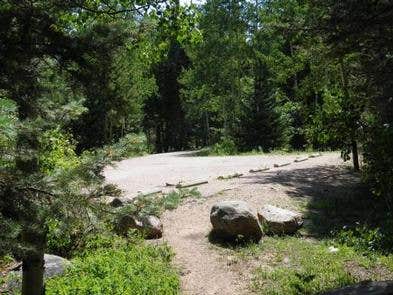 Camper submitted image from Spruce Group - Lake Isabel - 4