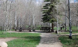 Camping near Priest Gulch Campground and RV Park Cabins and Lodge: Transfer Campground, Mancos, Colorado