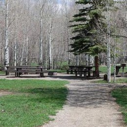 Public Campgrounds: Transfer Campground