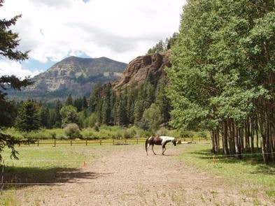 Camper submitted image from Palisades Horse Camp - 3