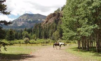 The Dyrt's photo of camping with a horse at Palisades Horse Camp near Chromo, CO