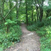 Review photo of Quartzite Campground — Devils Lake State Park by Matt S., September 11, 2016