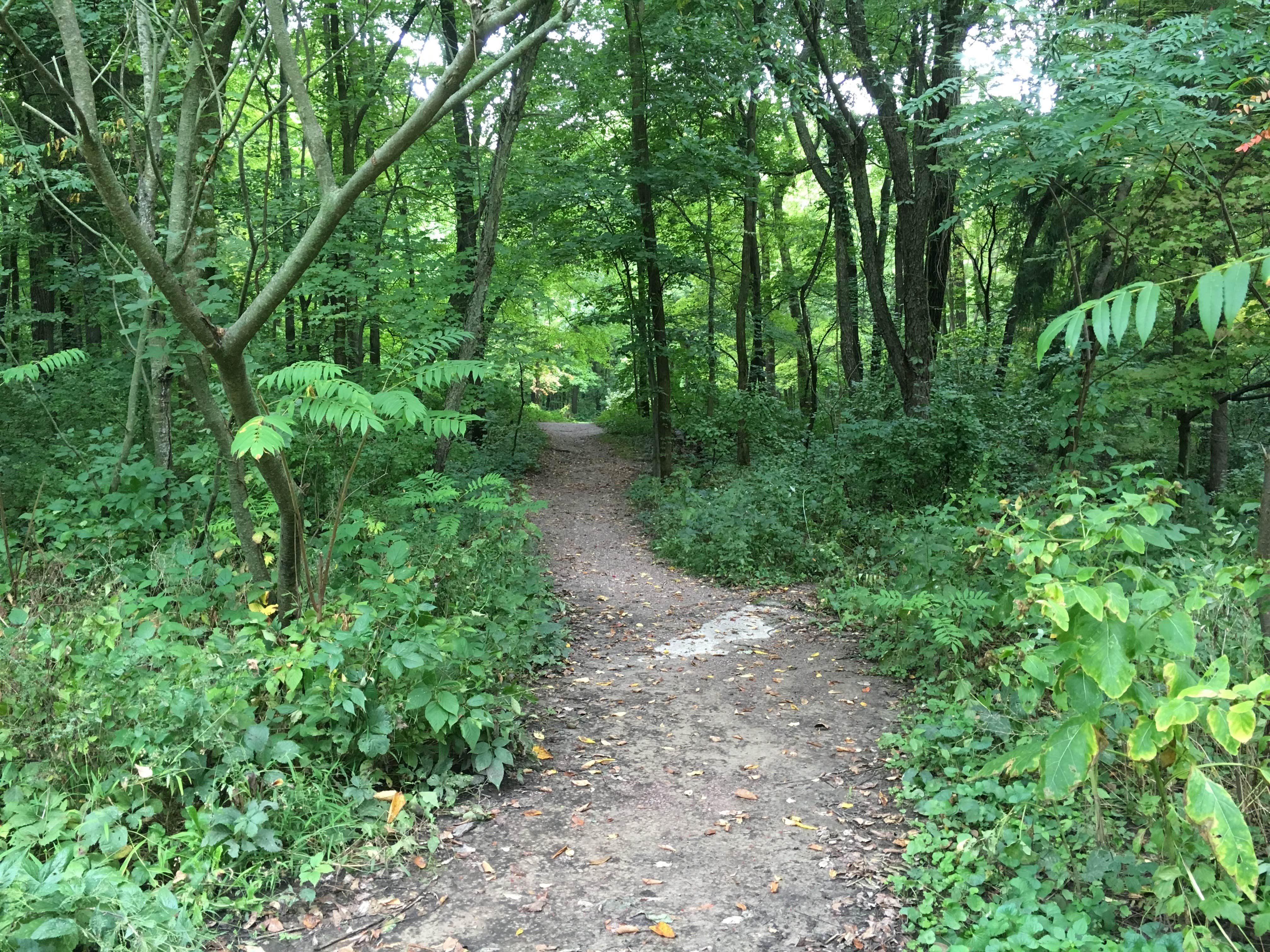Camper submitted image from Quartzite Campground — Devils Lake State Park - 3