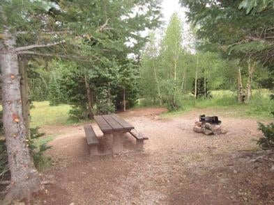 Camper submitted image from Bear Lake Campground (CO) - 1