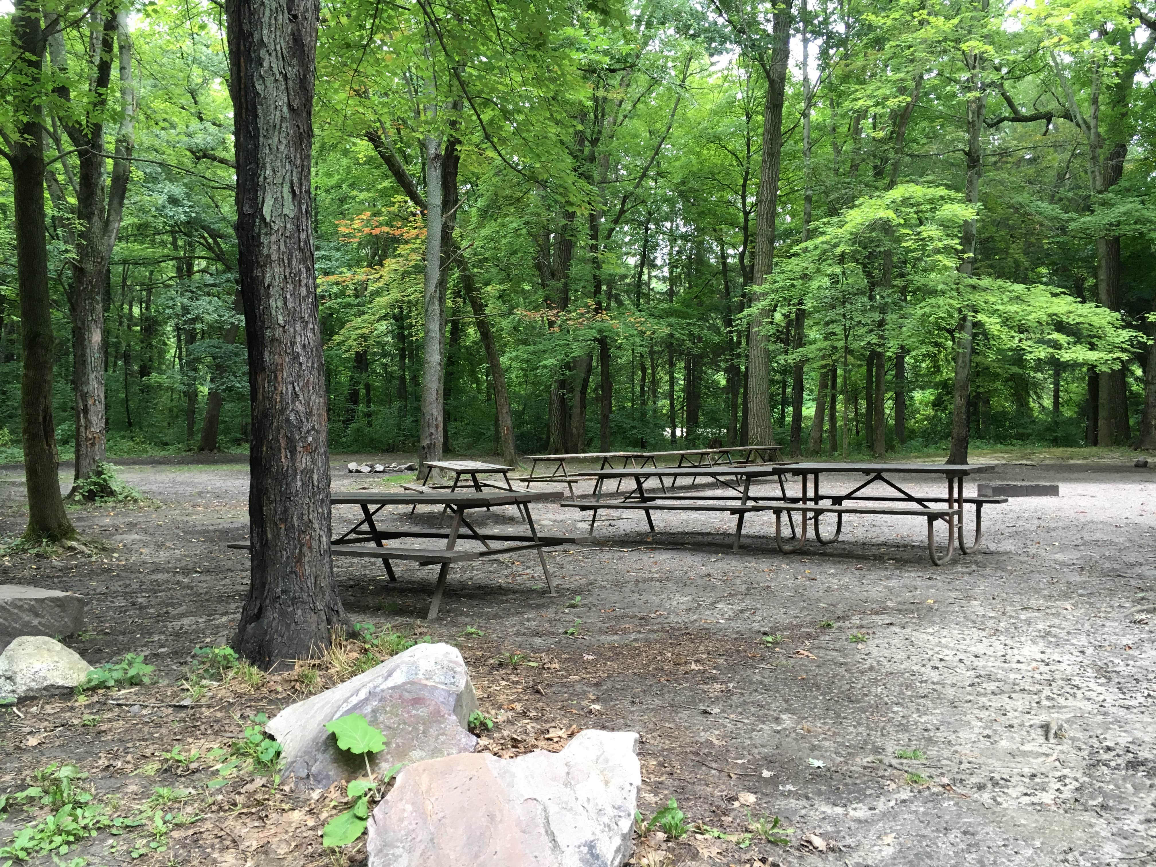 Camper submitted image from Quartzite Campground — Devils Lake State Park - 2