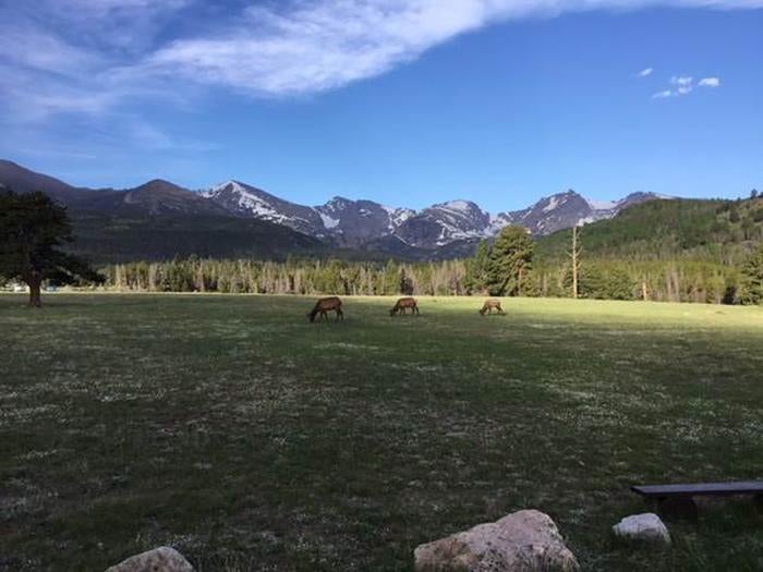 Camper submitted image from Glacier Basin Campground — Rocky Mountain National Park - 1
