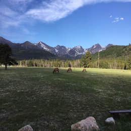 Public Campgrounds: Glacier Basin Campground — Rocky Mountain National Park