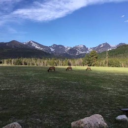 Public Campgrounds: Glacier Basin Campground — Rocky Mountain National Park