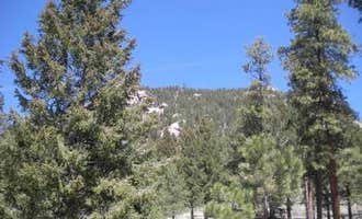 Camping near Lone Rock Campground: Kelsey Campground, Deckers, Colorado