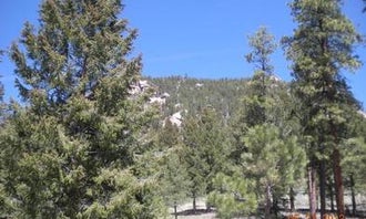 Camping near Ouzel: Kelsey Campground, Deckers, Colorado