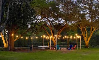 Camping near Ford Chapel RV Park: Nestled Pines RV Park LLC, Zavalla, Texas
