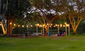 Camping near Jackson Hill Park & Marina: Nestled Pines RV Park LLC, Zavalla, Texas