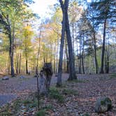 Review photo of Brunet Island State Park Campground by Peggy W., March 29, 2016