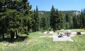 Camping near Camp Dick: Peaceful Valley, Ward, Colorado