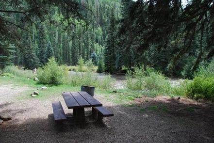 Camper submitted image from West Dolores Campground - 4