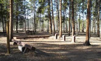 Camping near Lodgepole - Jefferson: Timberline Campground, Jefferson, Colorado
