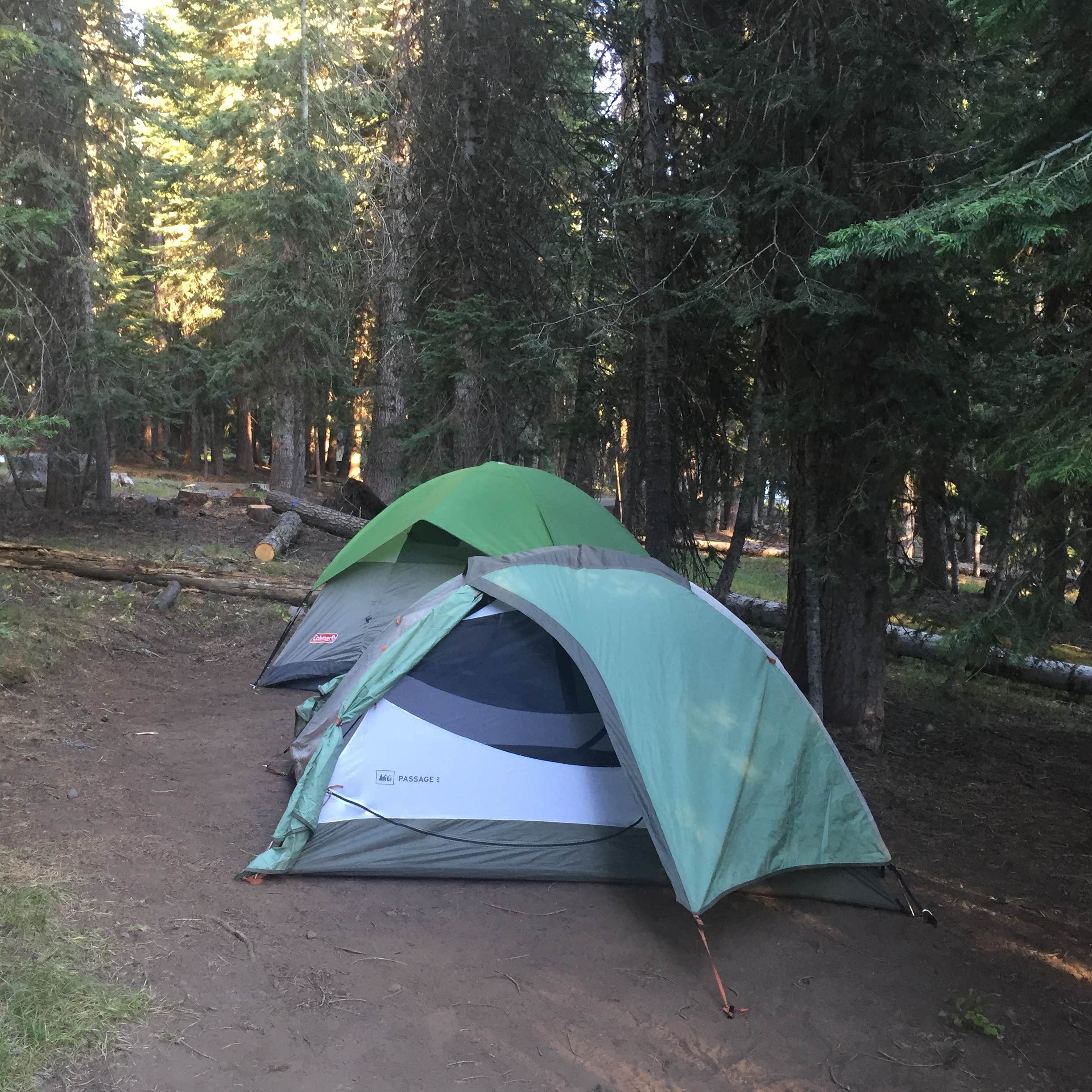 Diamond Lake Camping The Dyrt