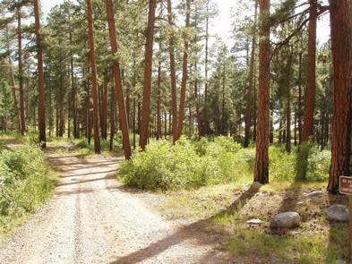 North Canyon Campground



Credit: