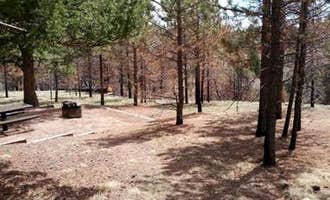 Camping near Lone Duck Campground and Cabins: Thunder Ridge, Green Mountain Falls, Colorado