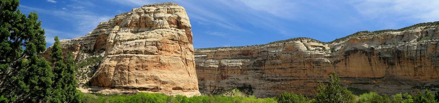 Camper submitted image from Echo Park Campground Group Site — Dinosaur National Monument - 1