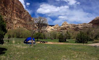 The Dyrt's photo at Echo Park Campground Group Site — Dinosaur National Monument near Dinosaur National Monument