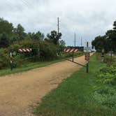 Review photo of Lake Emily Park by Matt S., September 11, 2016