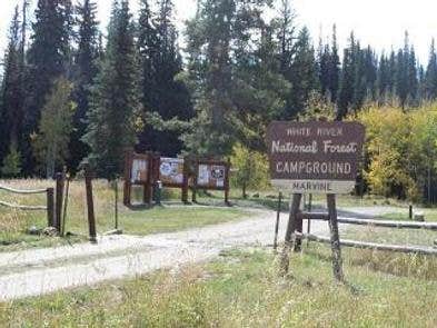 Camper submitted image from Marvine Campground - 4