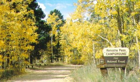 Camper submitted image from Kenosha Pass Campground - 4