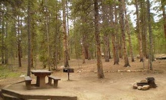 Camping near San Isabel National Forest Baby Doe Campground: Father Dyer, Leadville, Colorado