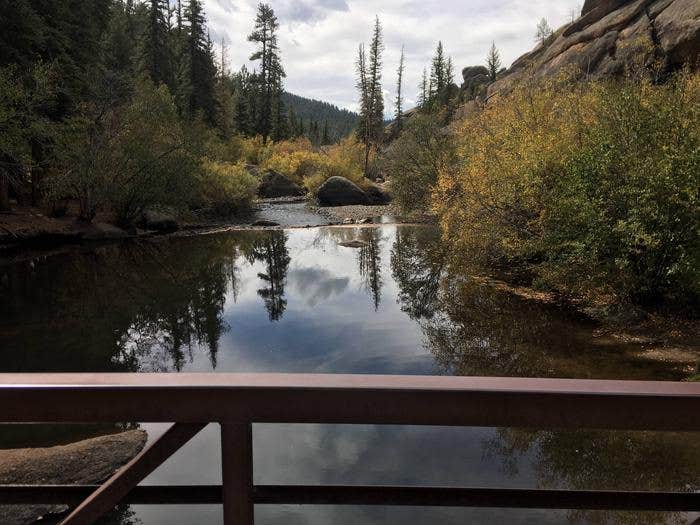 Spruce Grove Campground Camping The Dyrt