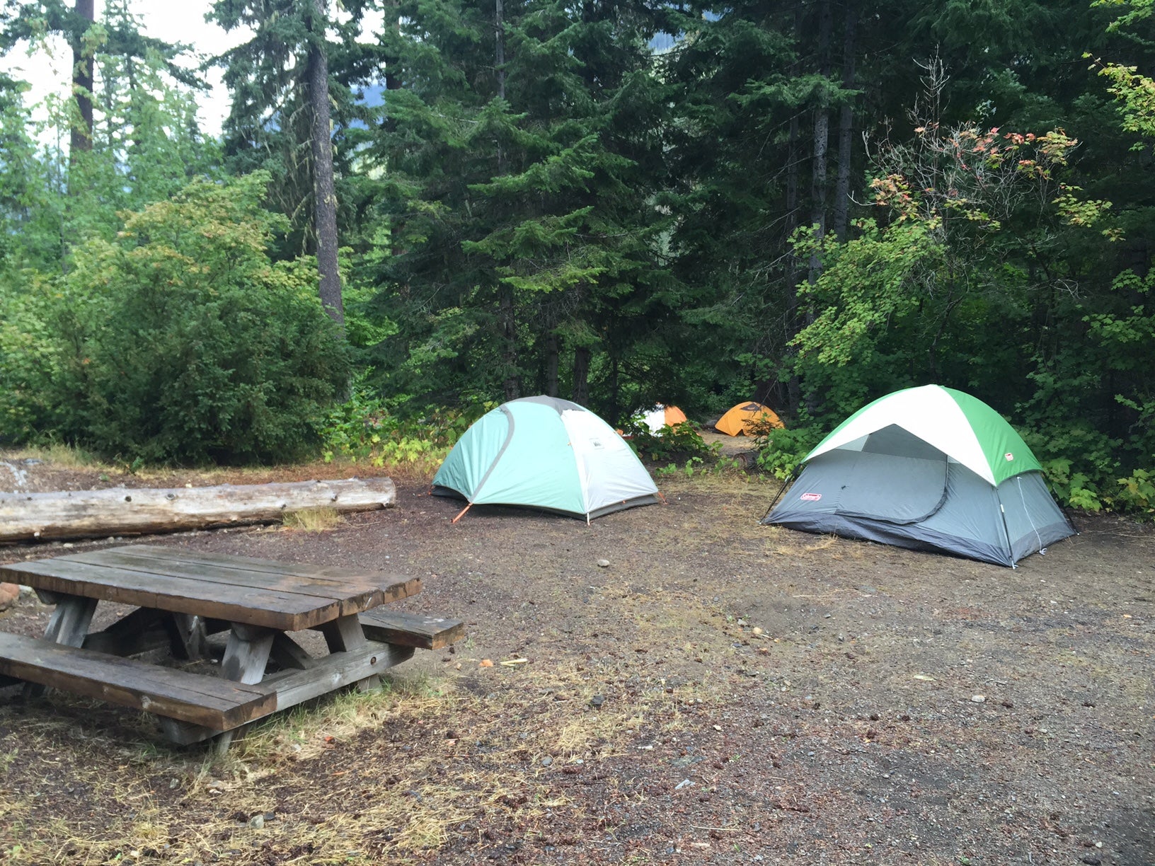 Camper submitted image from Black Pine Horse Camp - 1