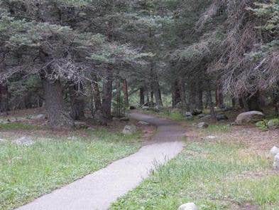 Camper submitted image from La Vista Campground - Lake Isabel - 5