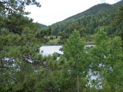 La Vista Campground   Lake Isabel



Credit:
