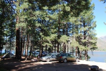 Camper submitted image from Pine Point Campground - 2