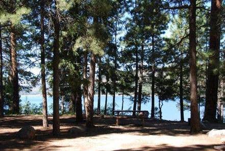 Camper submitted image from Pine Point Campground - 2