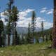 Pine Point Campground